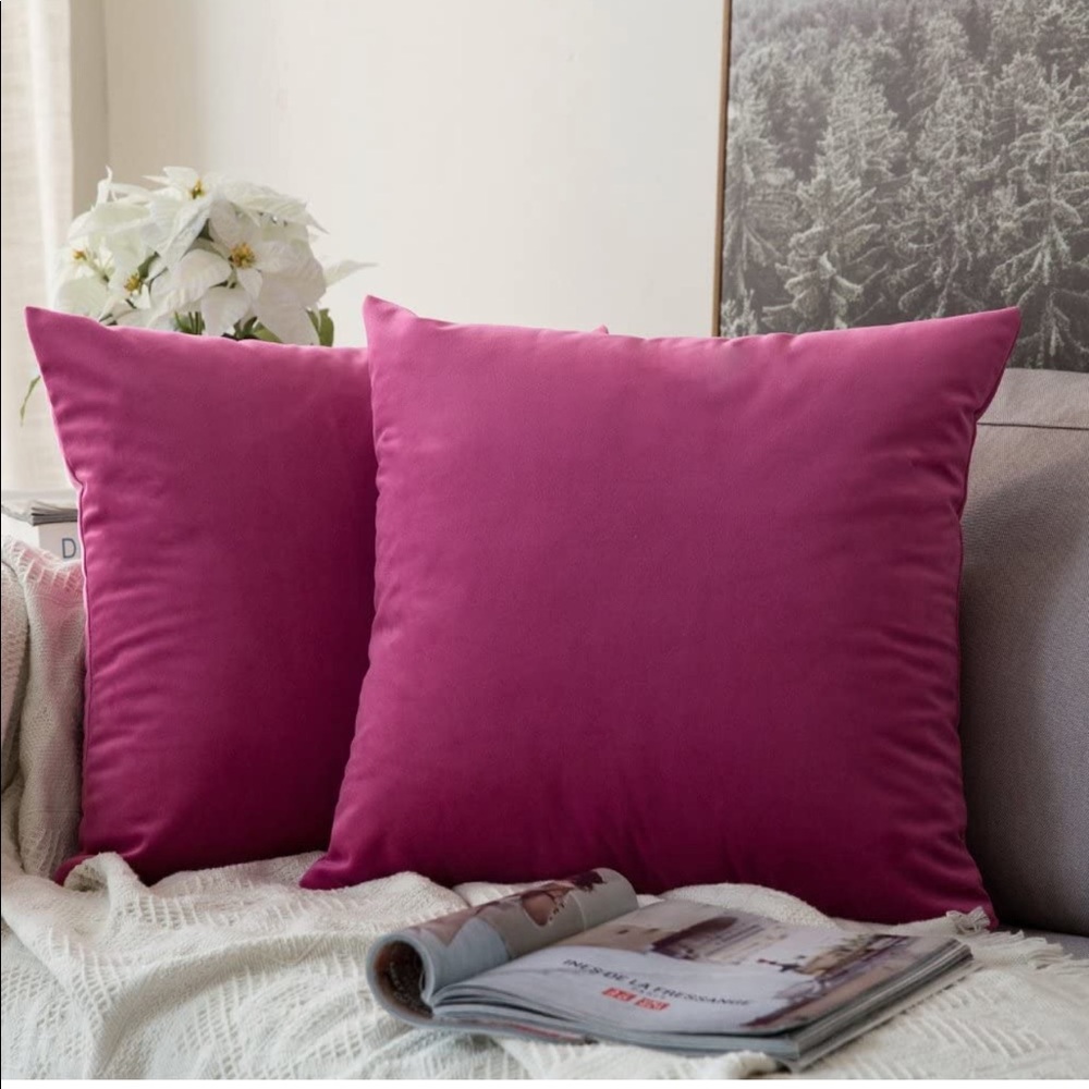 Set of 2 Velvet Pillow Covers 26x26